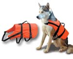 Chaleco seguridad de animales