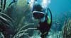 SUBMARINISMO