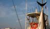 CA�AS TELESC�PICAS MAR