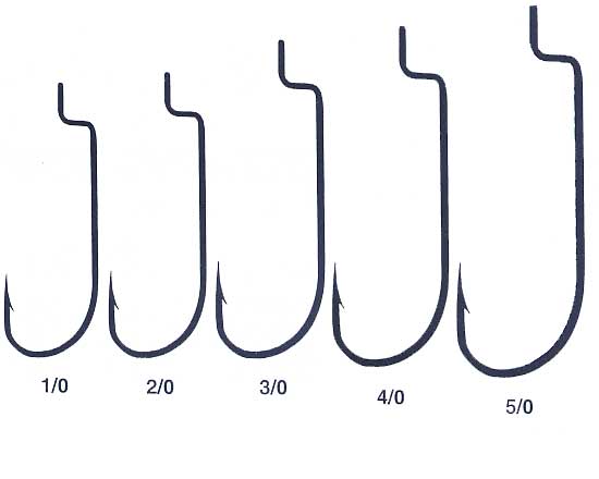 595100B.jpg